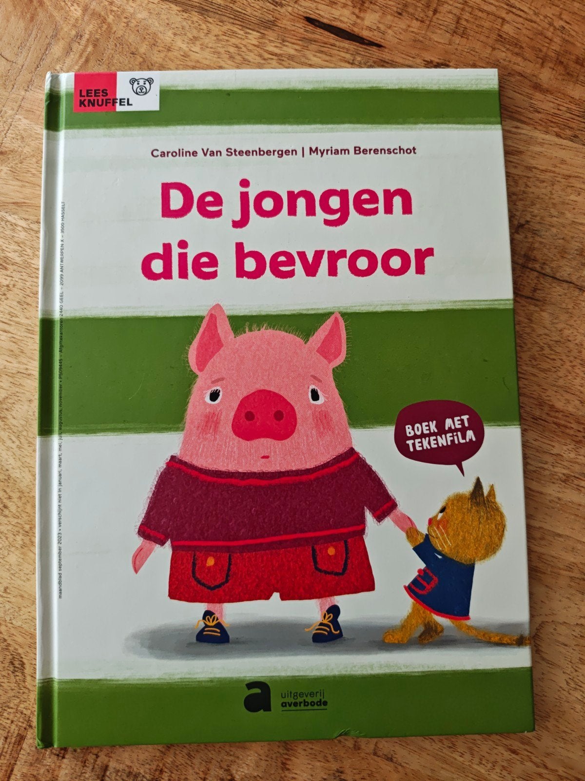 De jongen die bevroor - Prentenboek over perfectionisme, Boeken, Ophalen of Verzenden
