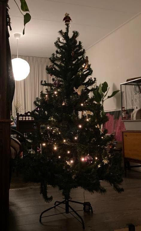 Gratis kunststof kerstboom, Diversen, Kerst, Ophalen
