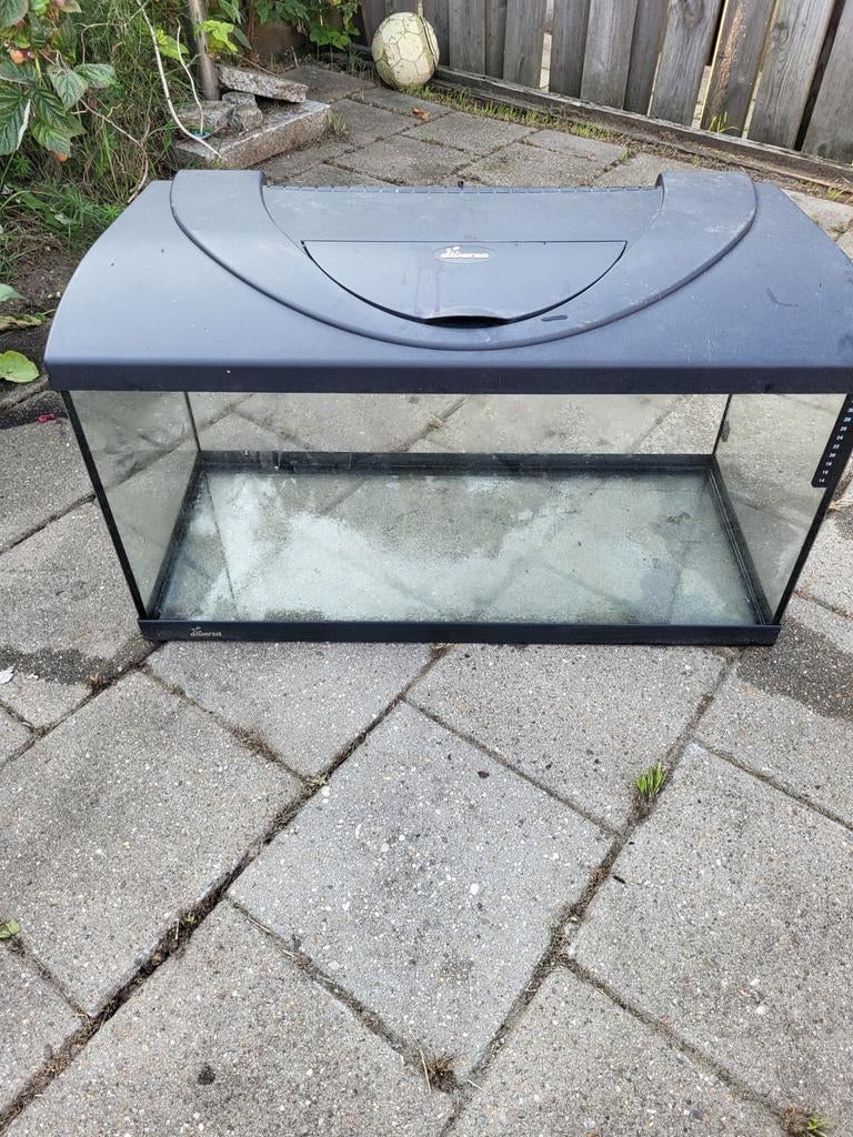 Aquarium, Dieren en Toebehoren, Vissen | Aquaria en Toebehoren, Ophalen of Verzenden, Gebruikt, Leeg aquarium