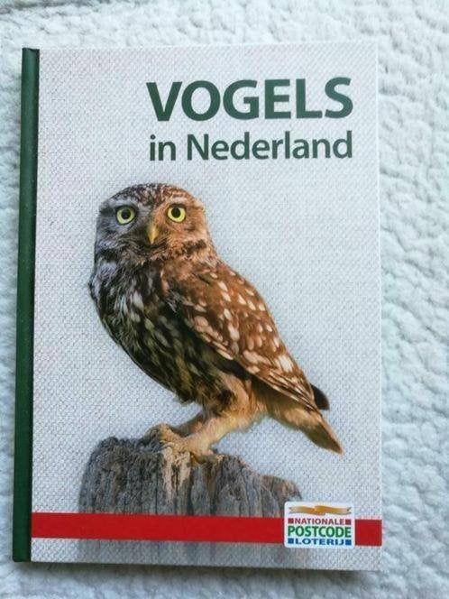 Jonathan Elphick, John Woodward - Vogels in Nederland, Ophalen of Verzenden, Zo goed als nieuw, Vogels, Jonathan Elphick, John Woodward