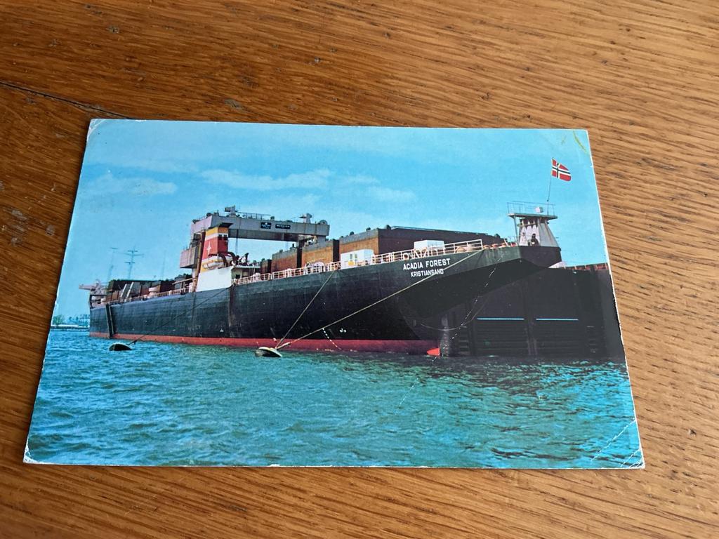 S623 MS ARCADIA FOREST, Ophalen of Verzenden, Zo goed als nieuw, Kaart, Foto of Prent