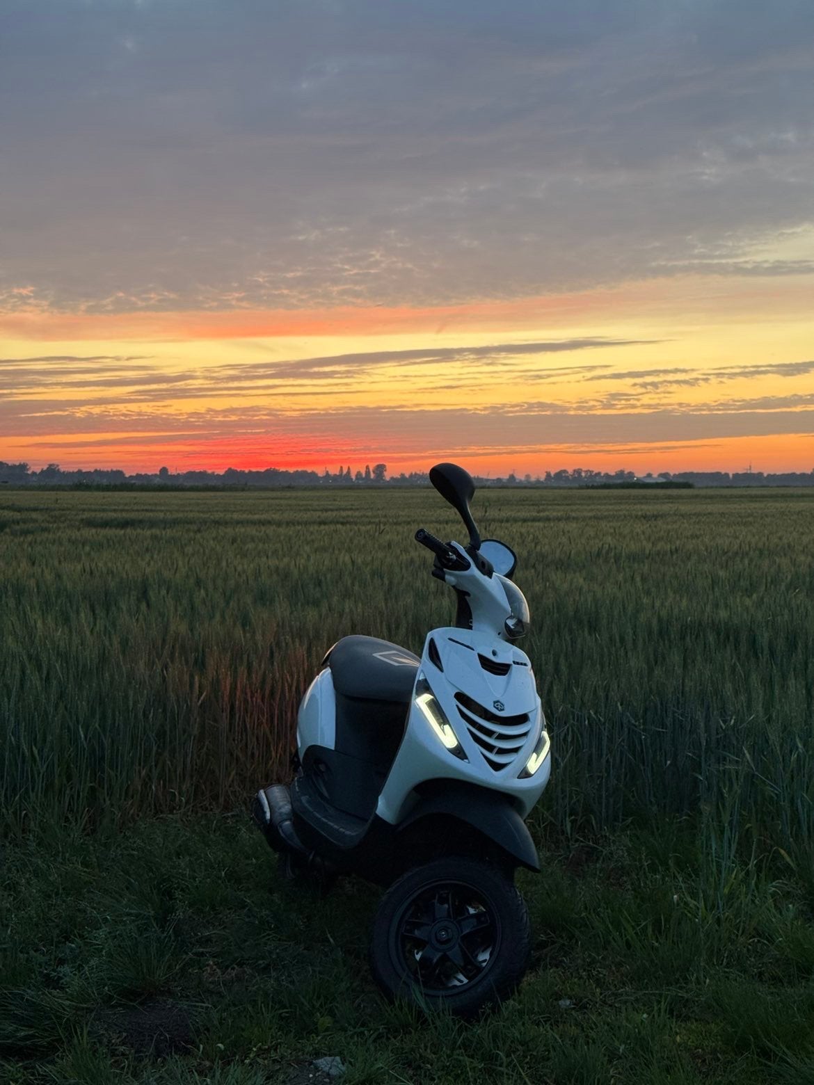 Zip 172 orgi sp brom, Ophalen, Zo goed als nieuw, Tweetakt, Zip
