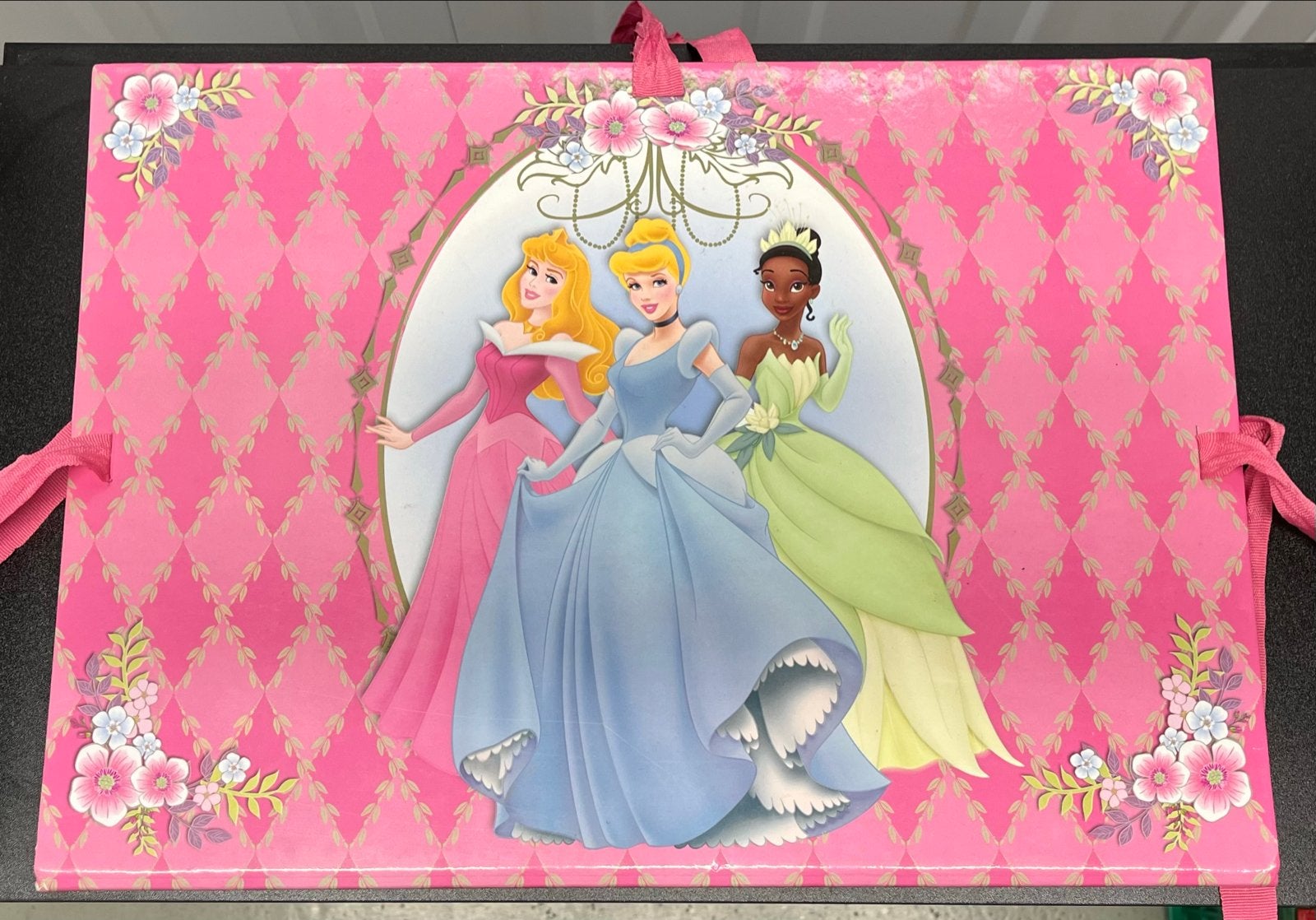 Disney Prinsessen Opbergmap - Aurora, Assepoester, Tiana, Ophalen of Verzenden, Gebruikt