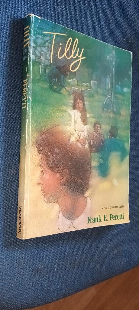 Frank E.Peretti - Tilly, Ophalen of Verzenden, Gelezen, Frank E.Peretti, Nederland