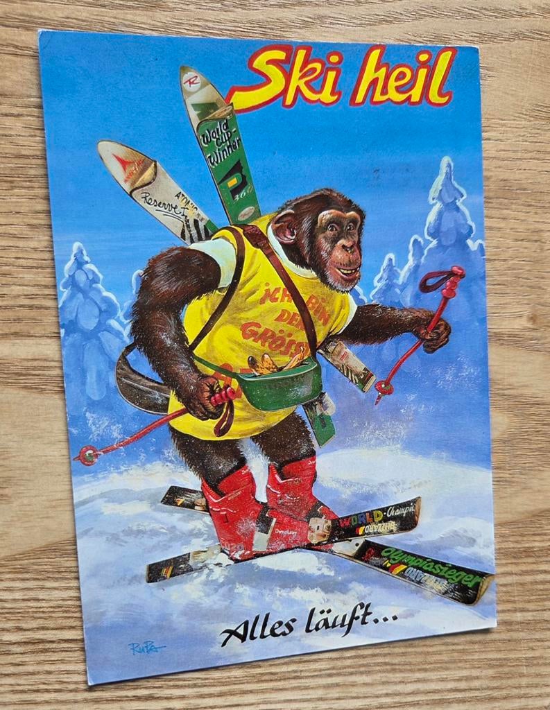 Wintersport humor - Chimpansee op ski's, Verzenden, 1980 tot heden, Gelopen, Overige thema's