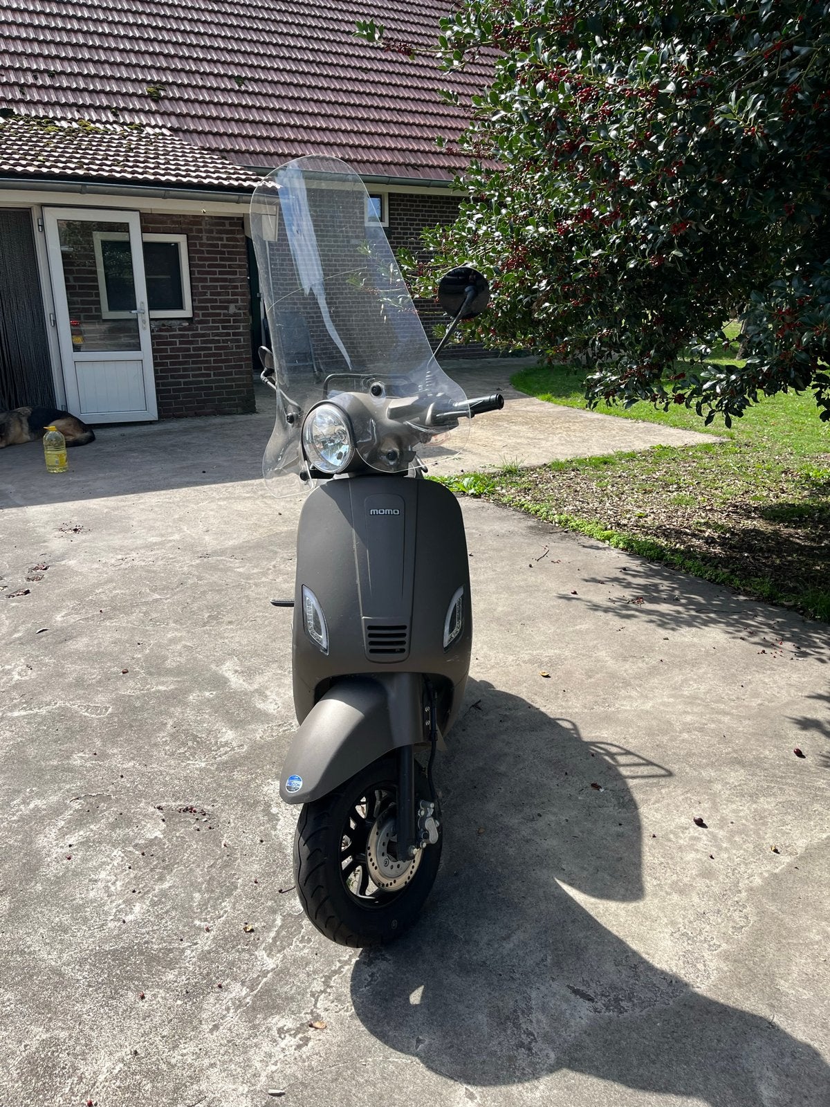 Momo scooter, altijd goed onderhouden, Ophalen of Verzenden, Gebruikt, Benzine, Overige merken