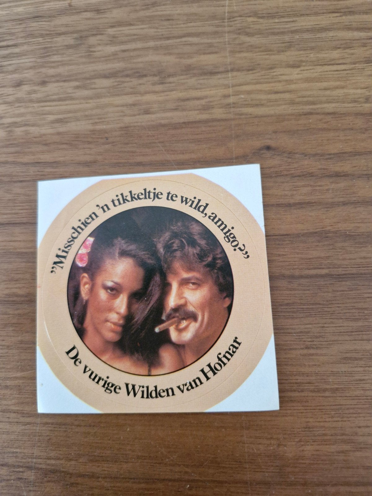 9852 Vintage Hofnar Sticker - De vurige Wilden, Verzamelen, Ophalen of Verzenden, Nieuw, Overige typen