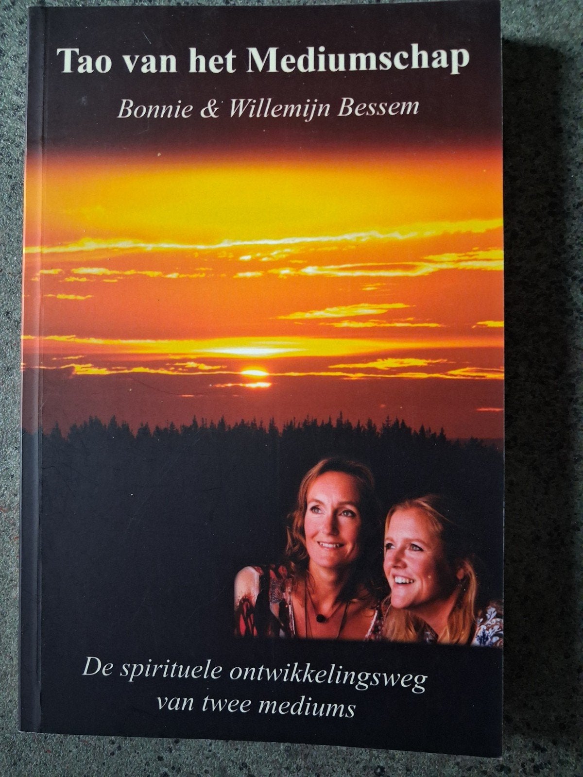 Willemijn Bessem - Tao van het mediumschap, Achtergrond en Informatie, Spiritualiteit algemeen, Ophalen of Verzenden, Zo goed als nieuw