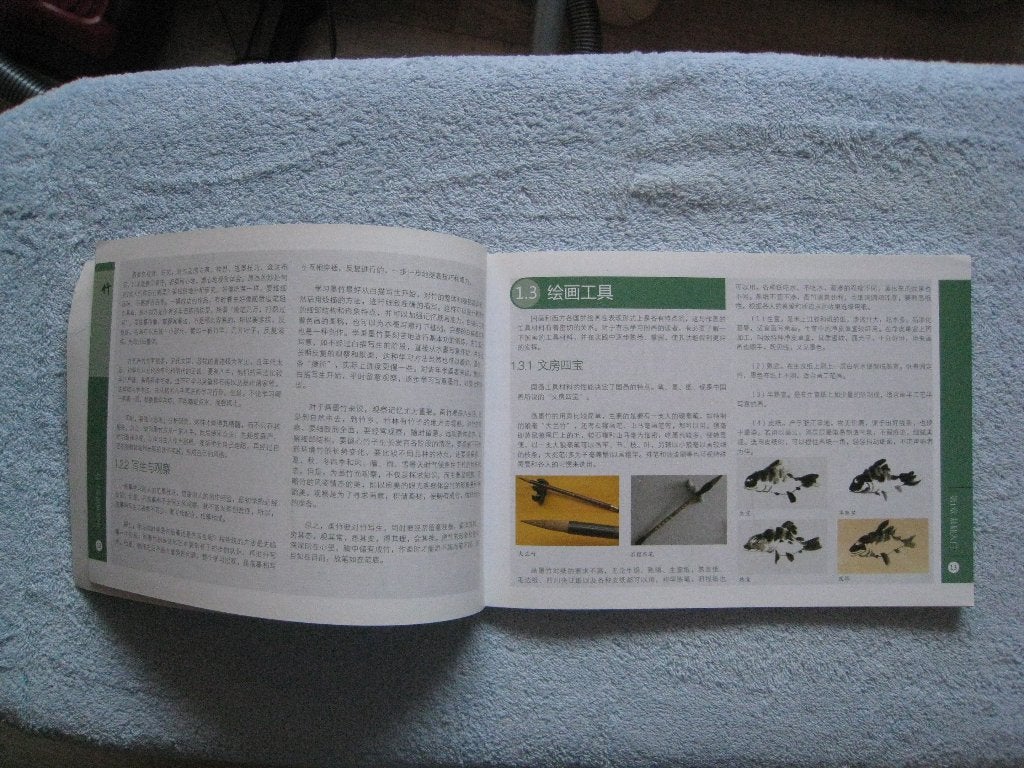 Foto 2 van Chinees aquarelboek