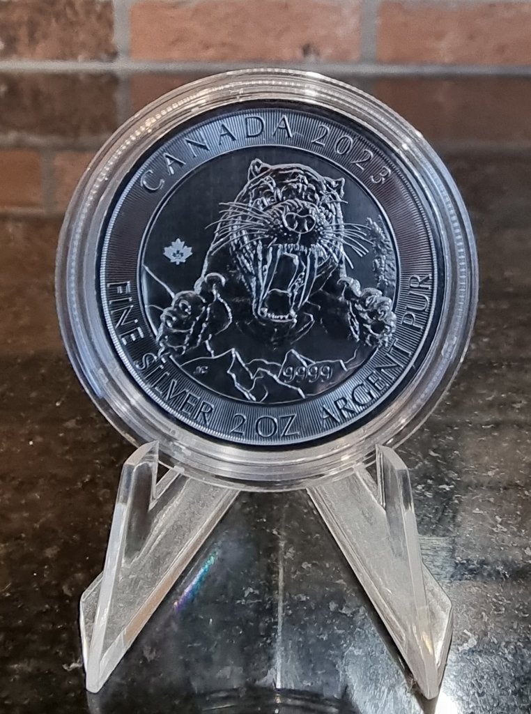 Onze keus 1/ 2 oz .999 zilveren munten, Ophalen of Verzenden, Zilver