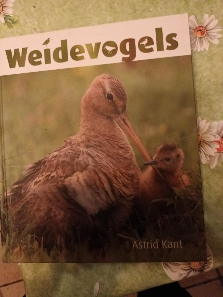 Weidevogels Vogels boerenland grutto kiviet Astrid Kant 2011, Ophalen of Verzenden, Zo goed als nieuw, Astrid Kant, Vogels