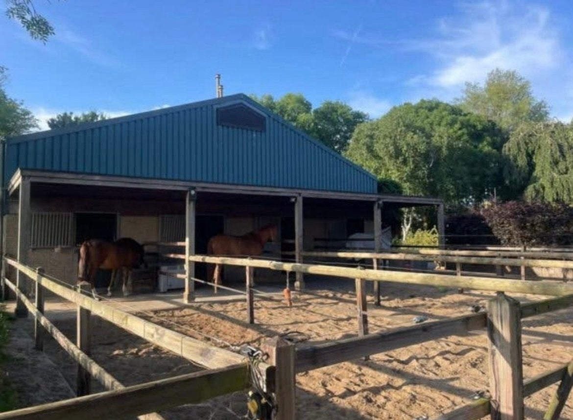 Pensionplek (paard/pony) beschikbaar te Andijk, Weidegang