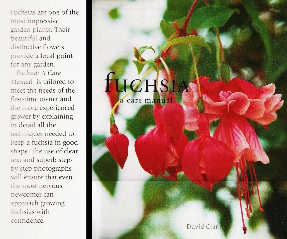 Groot boek FUCHSIA, veel informatie over verzorging., Boeken, Natuur, Ophalen of Verzenden, Nieuw, Bloemen, Planten en Bomen