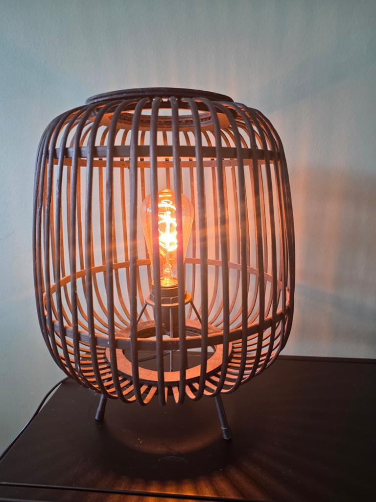 Rotan lamp, Ophalen of Verzenden, Minder dan 50 cm
