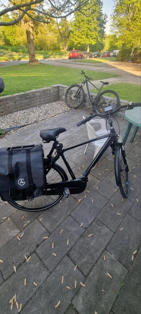 Elektrische fiets Gaint ENTOUR, Gebruikt, 51 tot 55 cm, 50 km per accu of meer, Giant