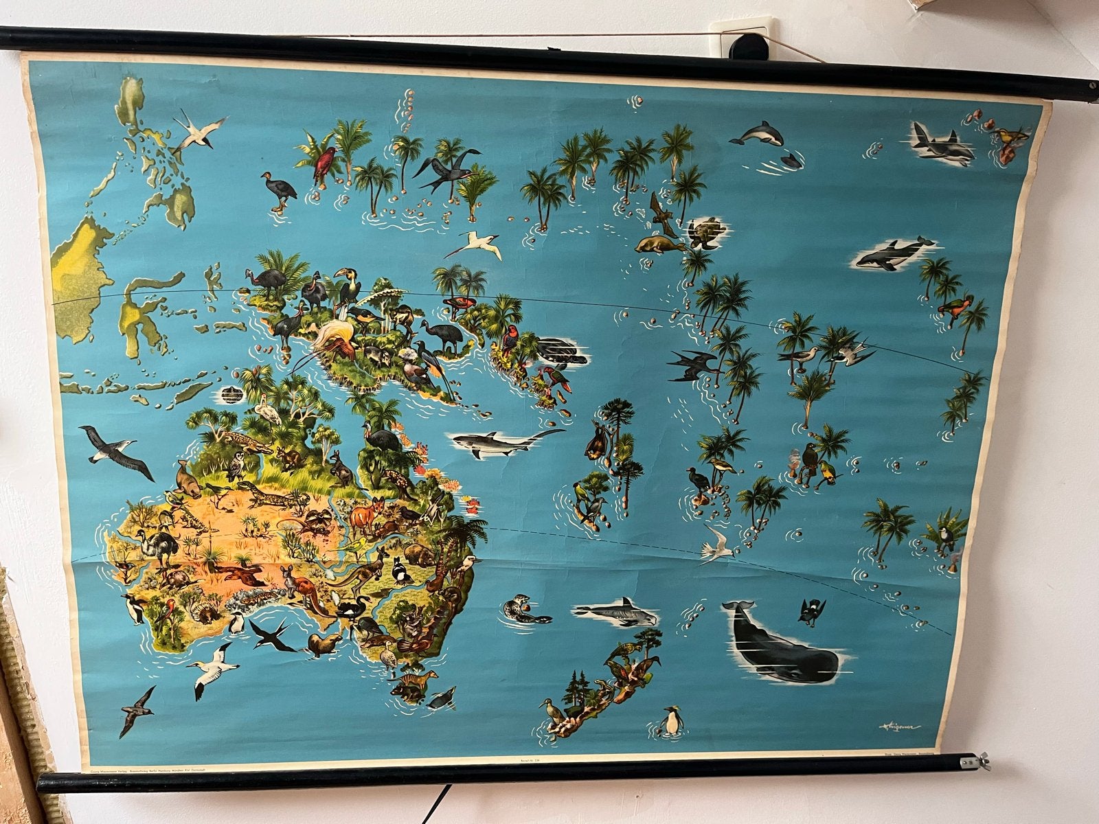 Vintage schoolkaart Australië, Nieuw-Zeeland en Oceanië, Ophalen of Verzenden, Aardrijkskunde