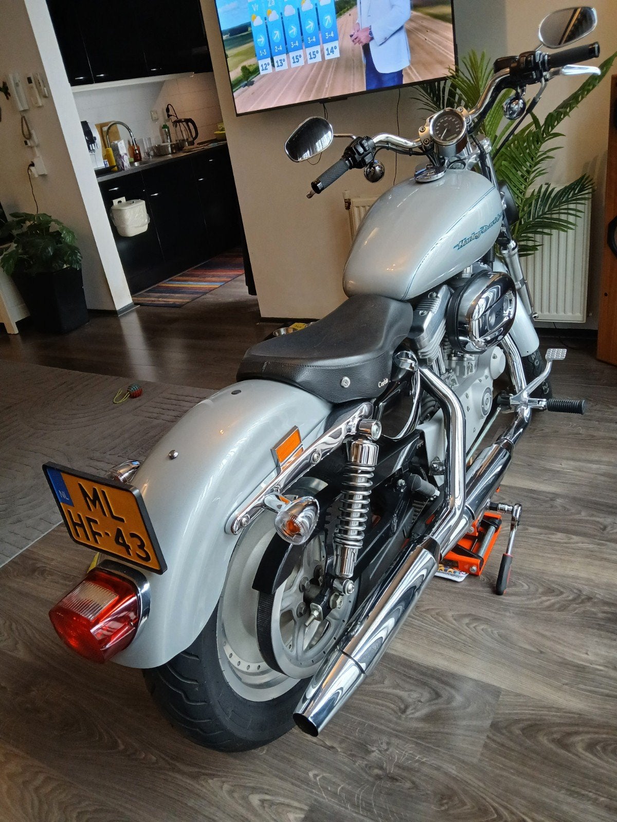 Sportster 883 xl53c custom53 bj.2004, 2 cilinders, Occasion, 883 cc, Particulier