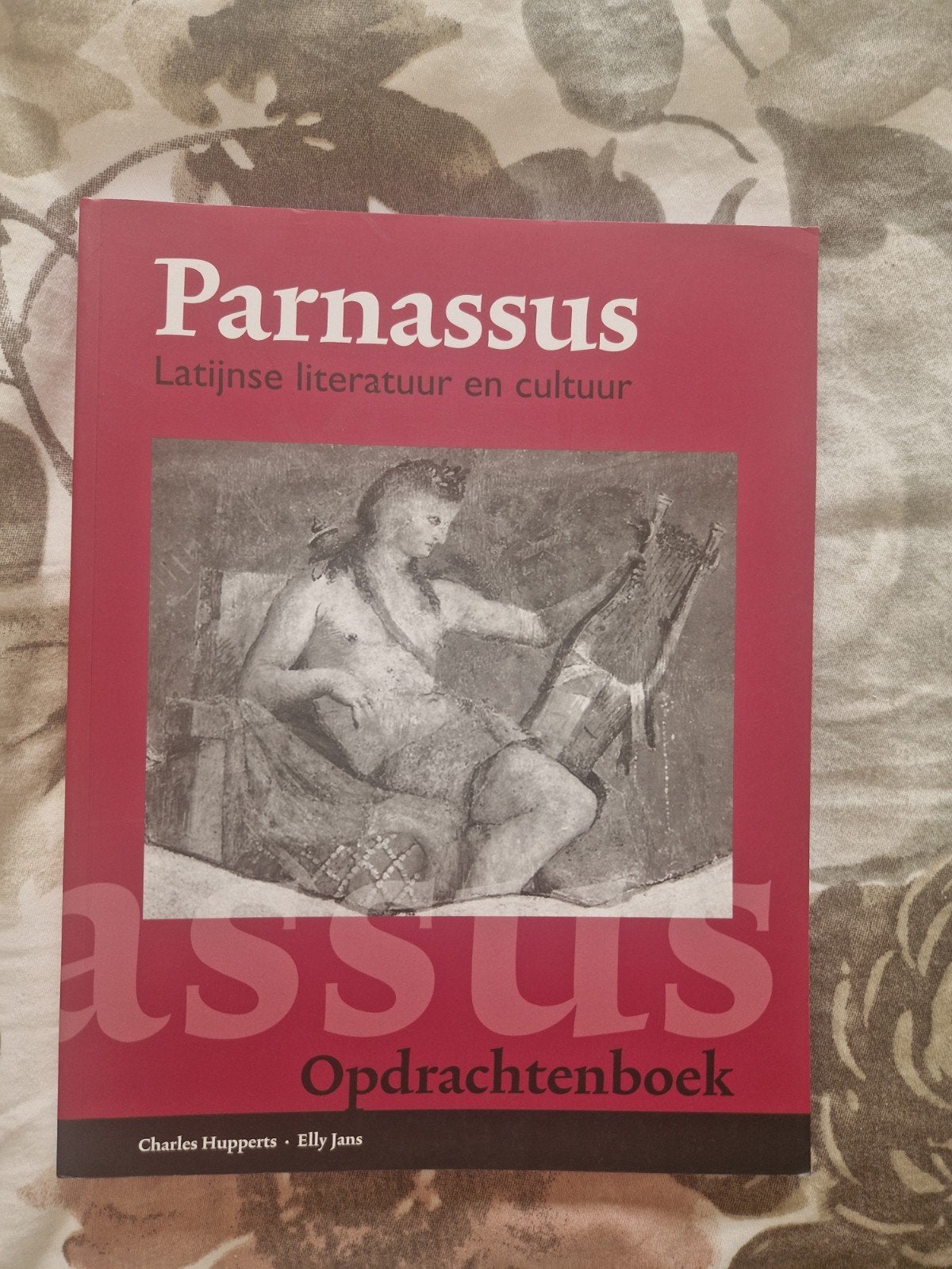 Parnassus Latijnse literatuur en cultuur Opdrachtenboek, Nieuw, Ophalen of Verzenden, Alpha, Charles Hupperts, Elly Jans