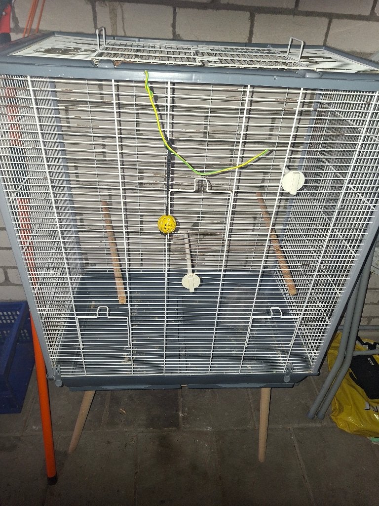 Vogelkooi, Dieren en Toebehoren, Ophalen, Gebruikt, Metaal, Vogelkooi