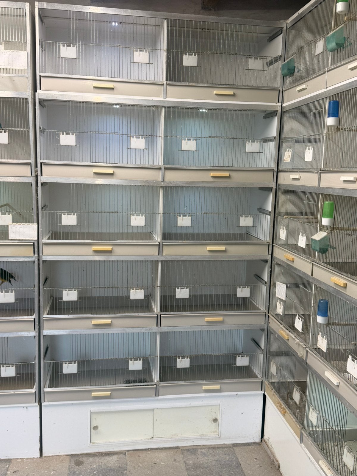 Gehu kweekkooi, Ophalen, Zo goed als nieuw, Overige materialen, Broedkooi of Kweekkooi