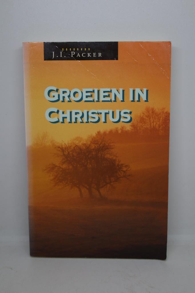 Groeien in Christus - J.I. Packer, Ophalen of Verzenden, Gelezen