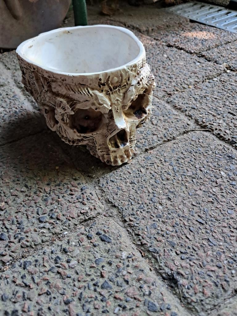 Bloempot, schedel, skull, Tuin en Terras, Bloempotten, Rond, Ophalen of Verzenden, Aardewerk, Minder dan 40 cm