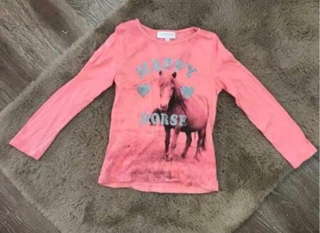 Roze longsleeve paard in maat 110, Ophalen, Gebruikt, Meisje, Shirt of Longsleeve