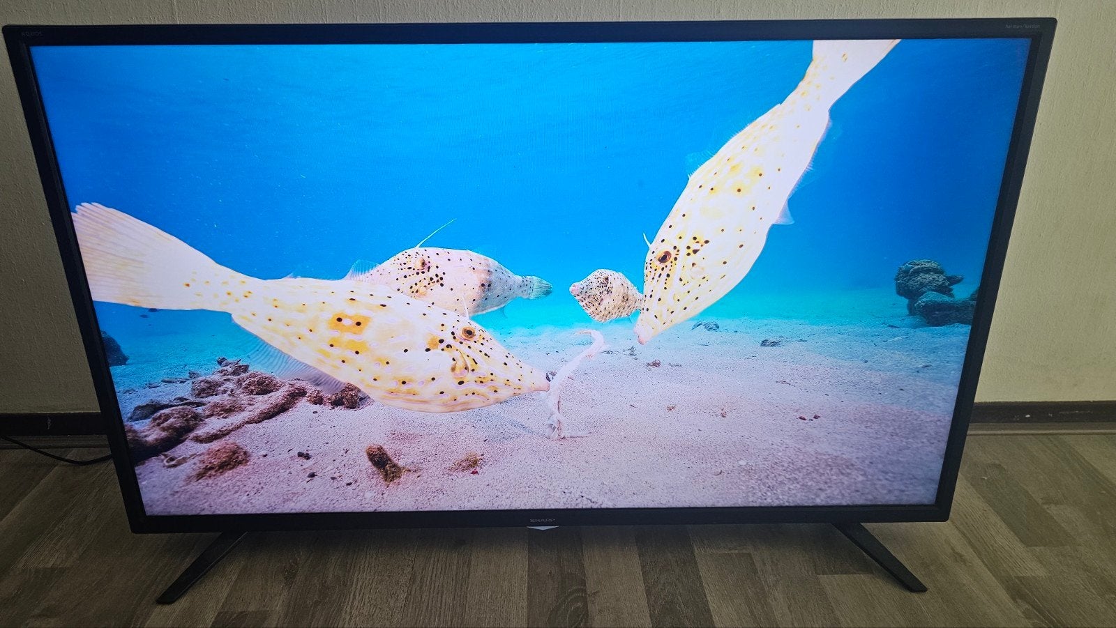 Sharp 40 inch 4K Smart TV, Audio, Tv en Foto, Televisies, Ophalen, Gebruikt, 50 Hz, 100 cm of meer