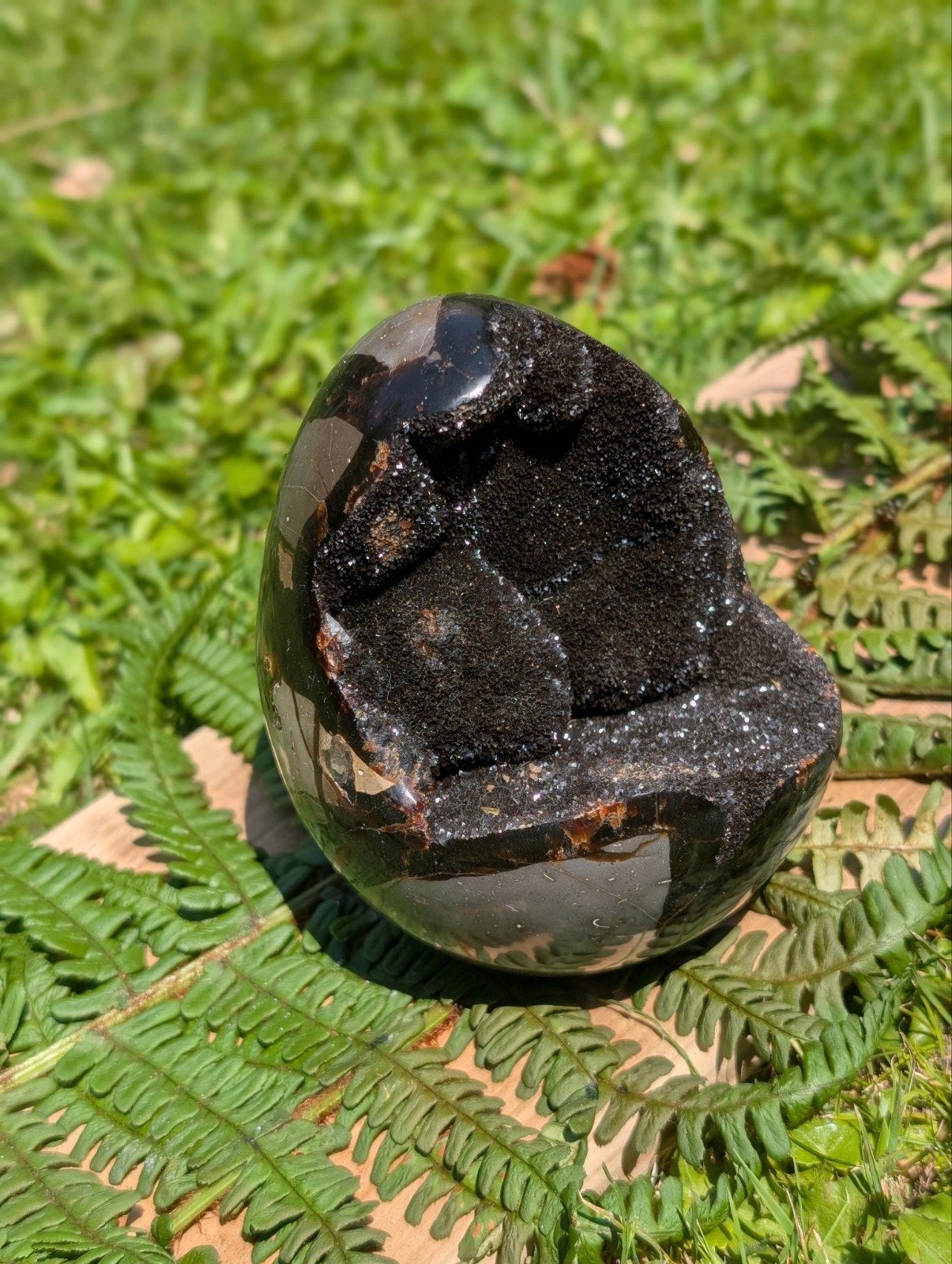 Septaria Geode Ei – Prachtig Natuurlijk Kristal, Amfibie, 0 tot 2 jaar