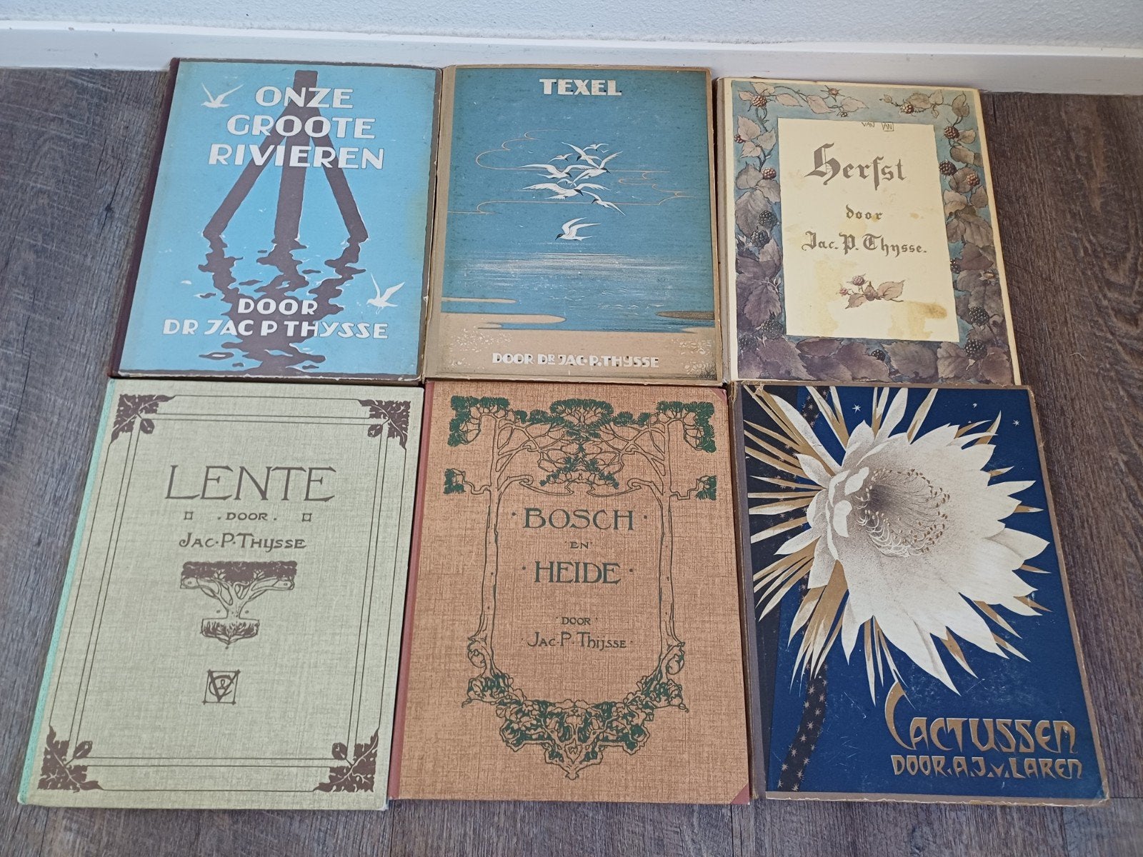 Verkade albums 6 stuks, Antiek en Kunst, Ophalen of Verzenden, Jac. P. Thijsse, A.J. van Laren