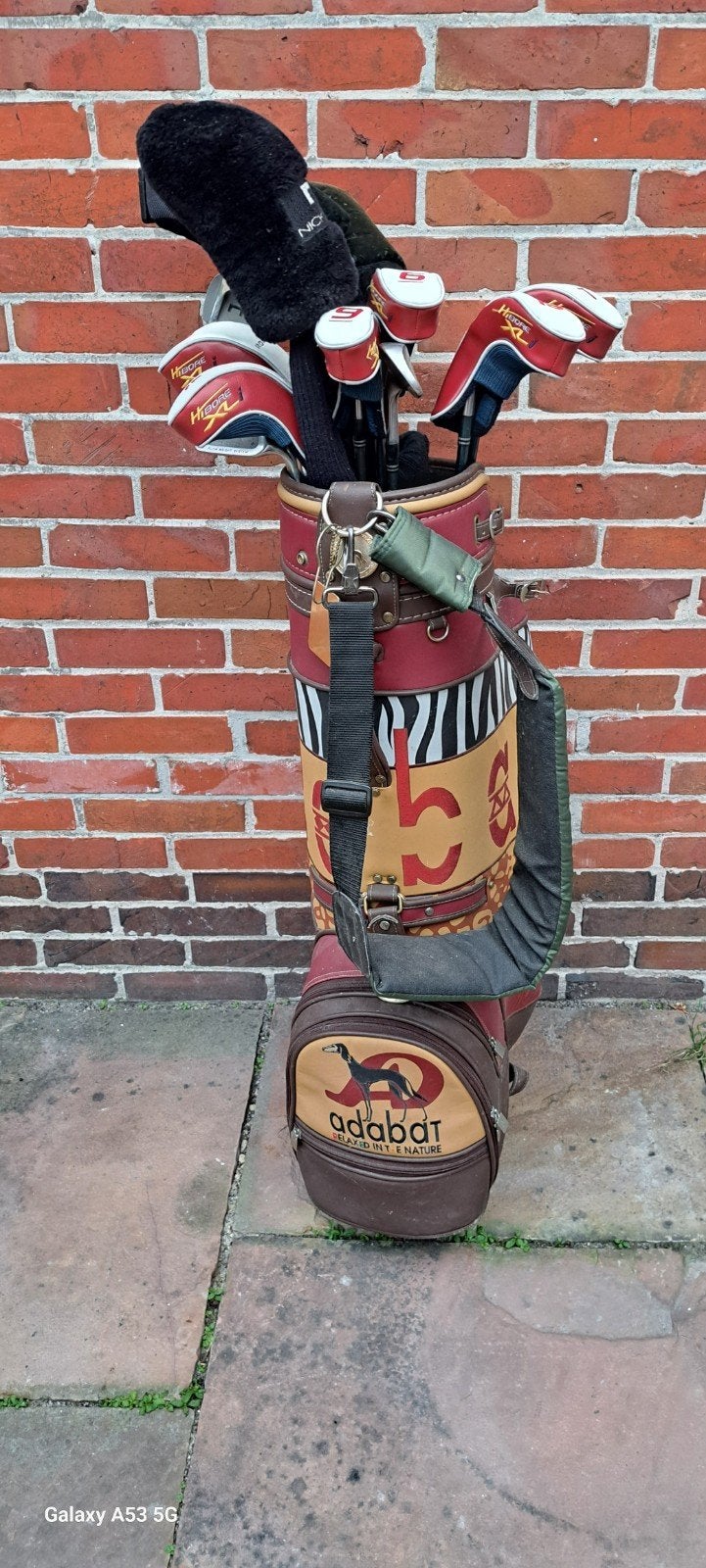 Golfset met draagtas - 11 clubs, Sport en Fitness, Golf, Ophalen of Verzenden