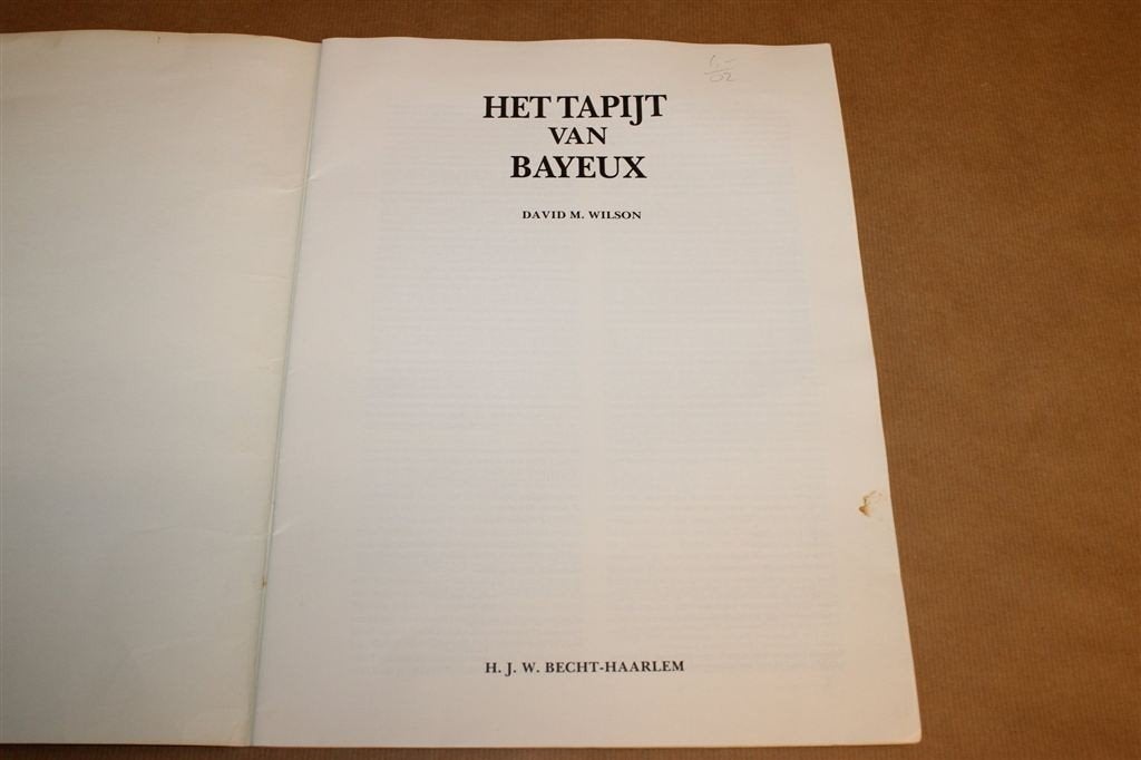 Het Tapijt van Bayeux — Middeleeuwse Borduurkunst 1066, Ophalen of Verzenden, Gelezen, Europa