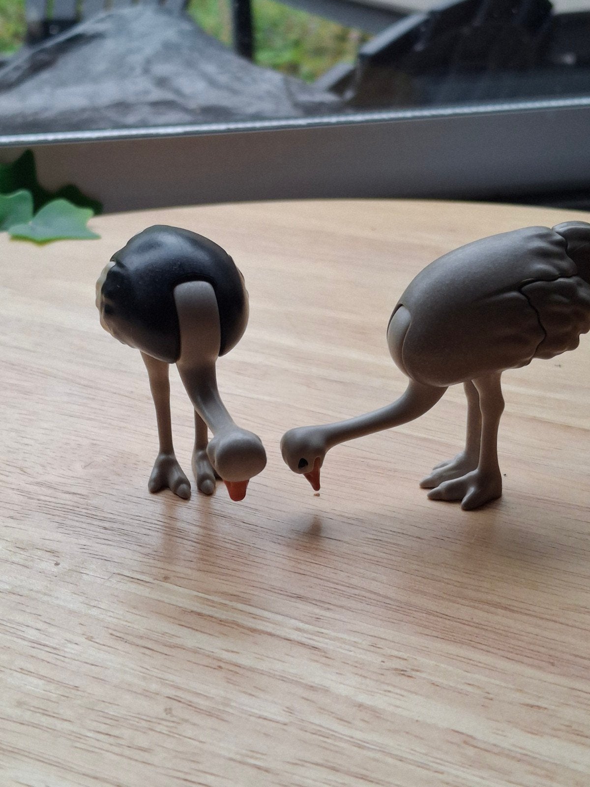 Playmobilset 6260 Struisvogels Compleet, Kinderen en Baby's, Speelgoed | Playmobil, Complete set, Ophalen of Verzenden, Zo goed als nieuw