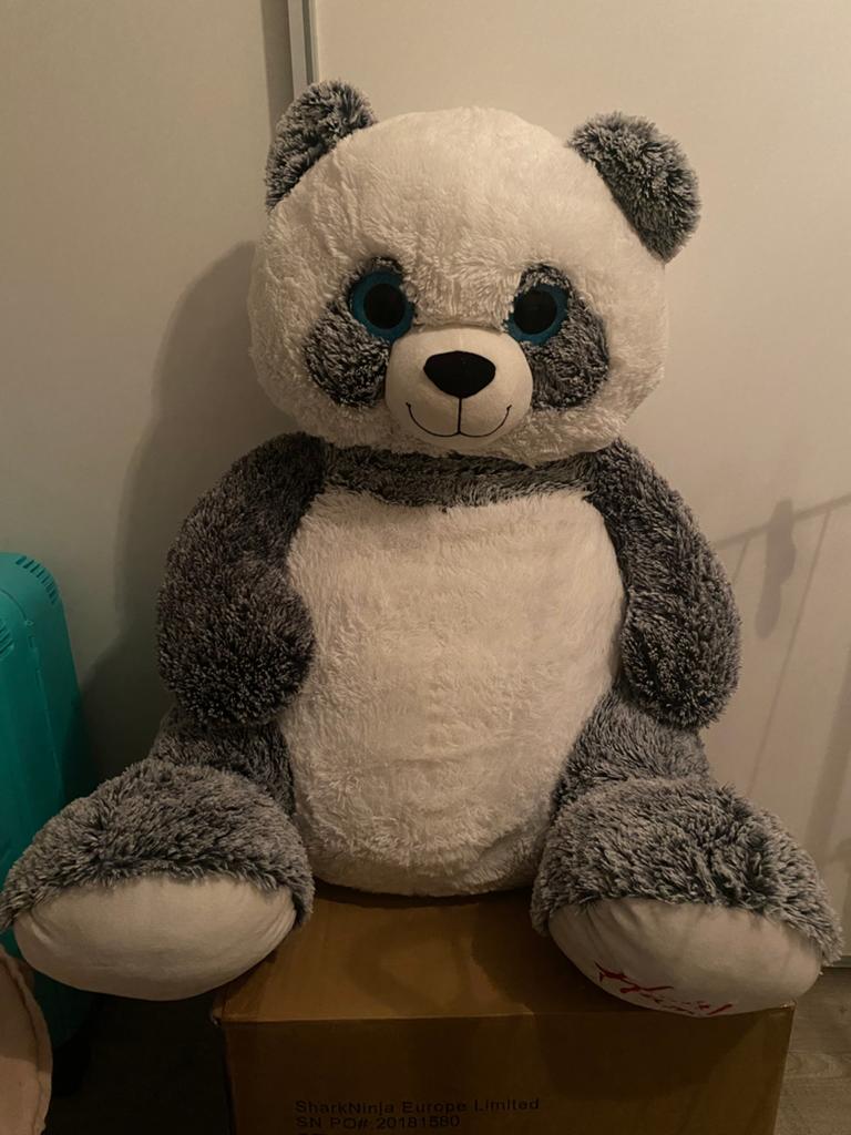 Mooie grote knuffelbeer Hamleys, Ophalen, Beer, Grijs, Zo goed als nieuw