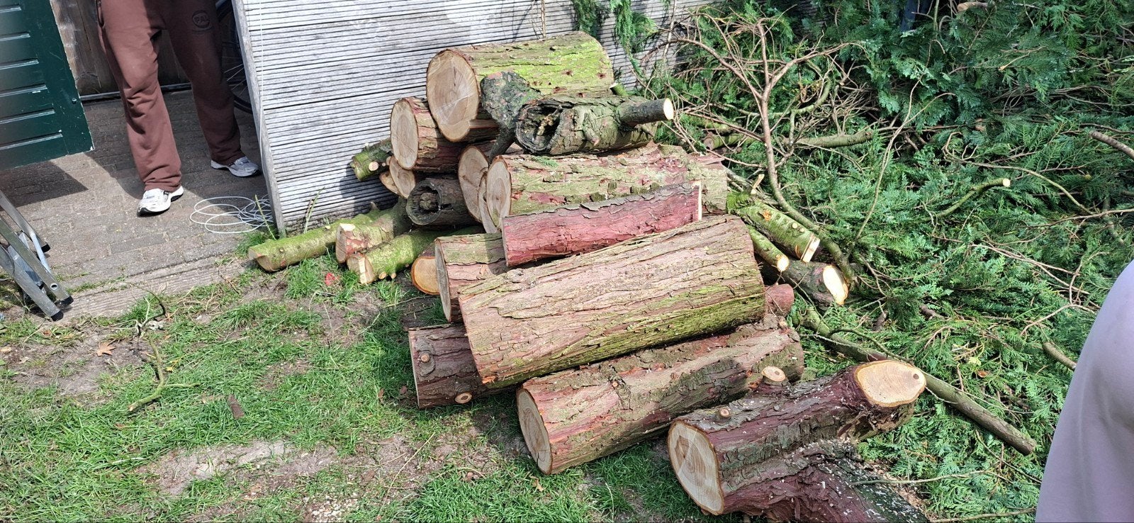 Gratis haardhout afhalen - Conifeer (Baarn), Minder dan 3 m³, Ophalen, Overige houtsoorten, Stammen