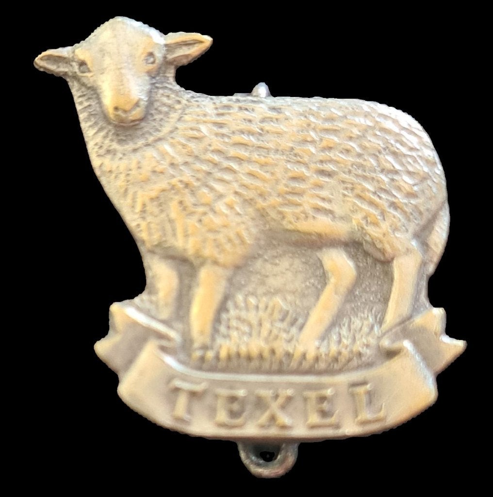 Texel broche- met schaap, Verzamelen, Speldjes, Pins en Buttons, Verzenden, Nieuw, Stad of Land, Speldje of Pin