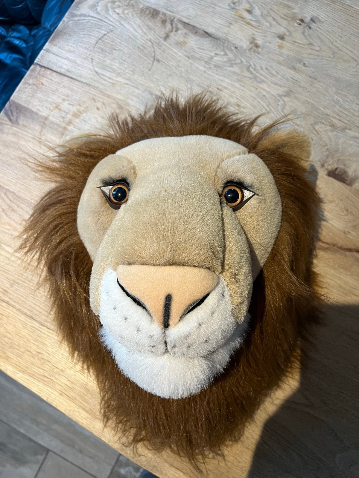 Pluche Leeuwenkop Wanddecoratie - Safari Thema, Overige merken, Overige karakters, Ophalen of Verzenden, Zo goed als nieuw