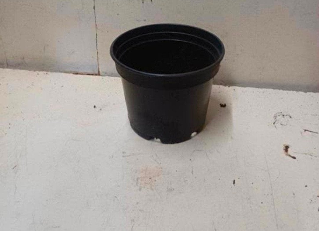 Kweekpotten plantenpotten bloempotten 1,5 liter, Kunststof, Gebruikt, Rond, Ophalen of Verzenden