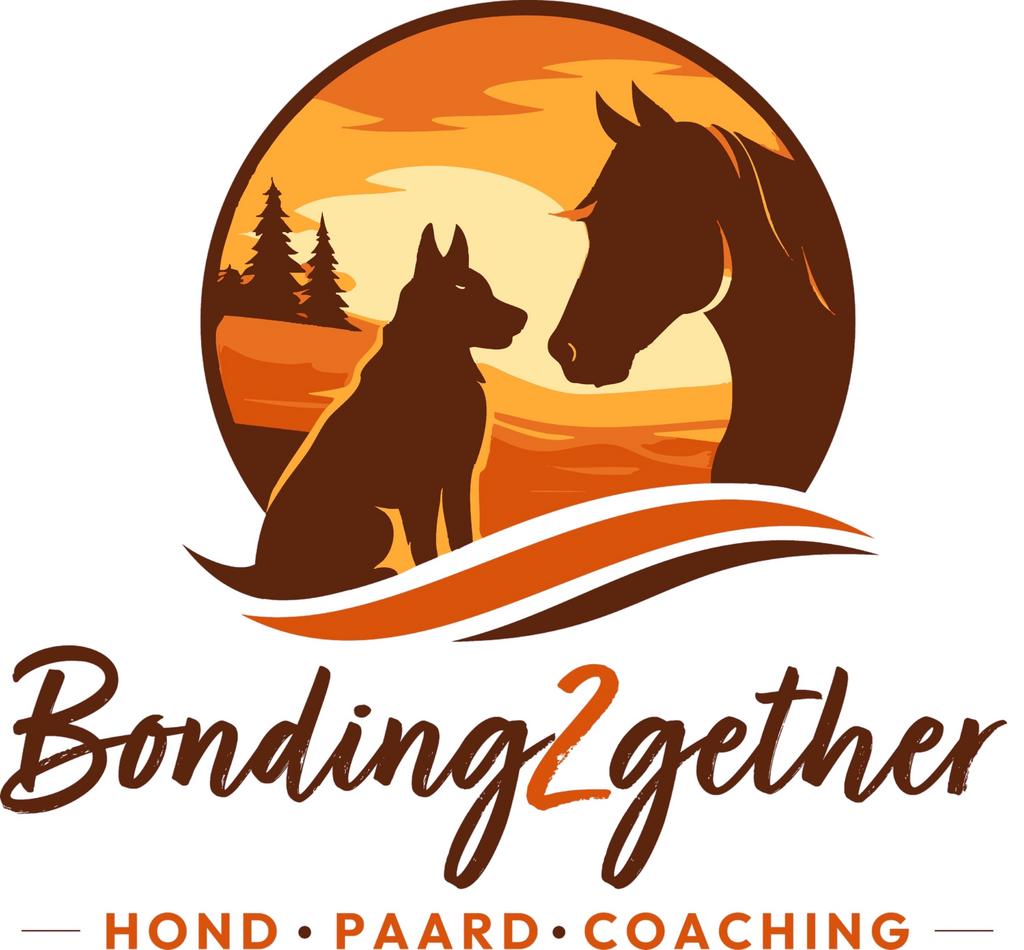 Stalservice, paardencoaching & hondenuitlaatservice, Verzorging of Verzorgpony's