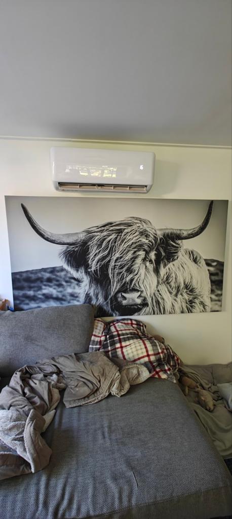 Prachtige Schotse hooglander canvas, Ophalen, Overige typen, Nieuw, 125 cm of meer