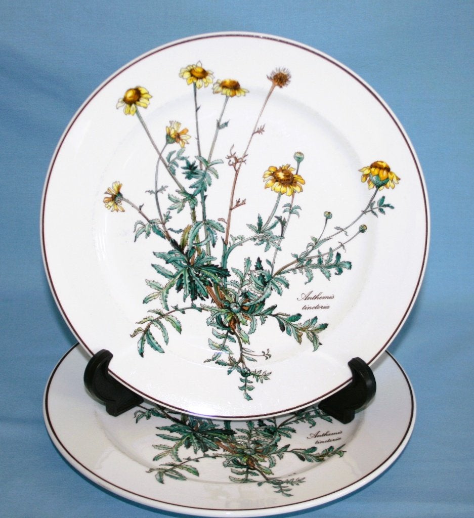 Villeroy & Boch " Botanica " Dinerborden - Zonder Wortels, Villeroy & Boch, NVT, Ophalen of Verzenden, Zo goed als nieuw