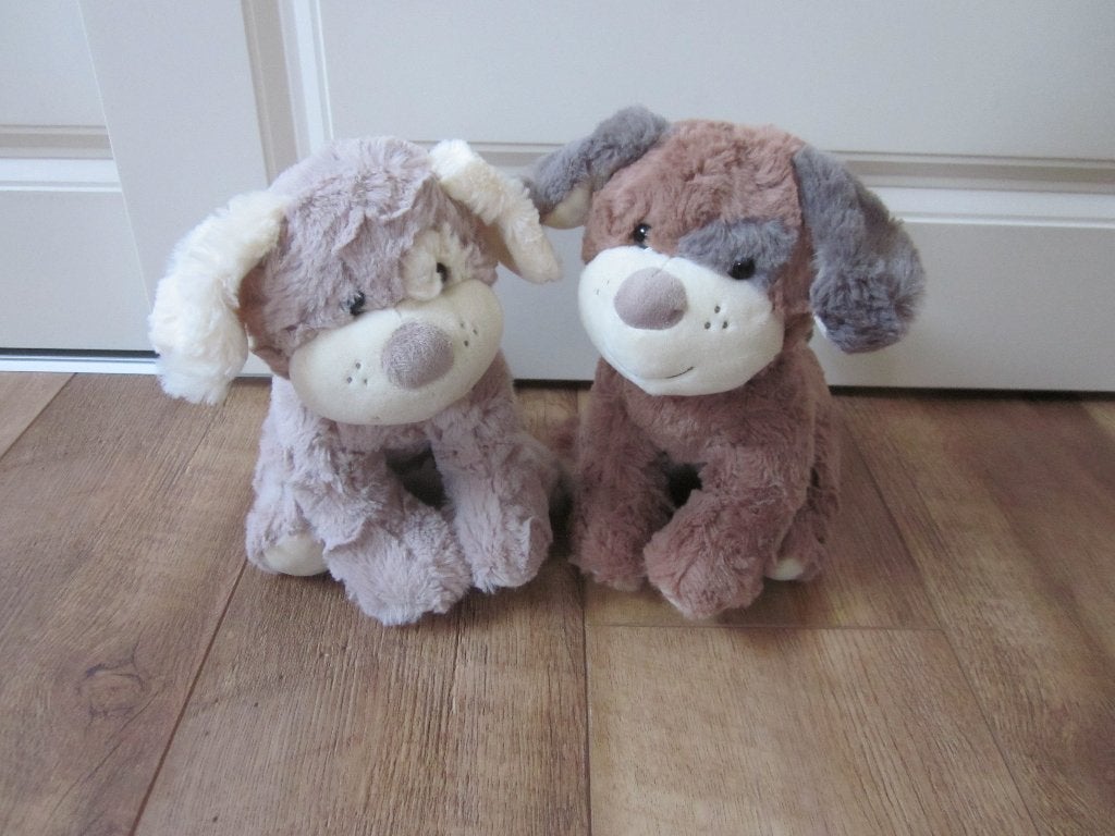 Twee precies dezelfde superzachte ruwharige hond knuffels, Overige merken, Overige karakters, Nieuw, Middelgroot (20 tot 80 cm)