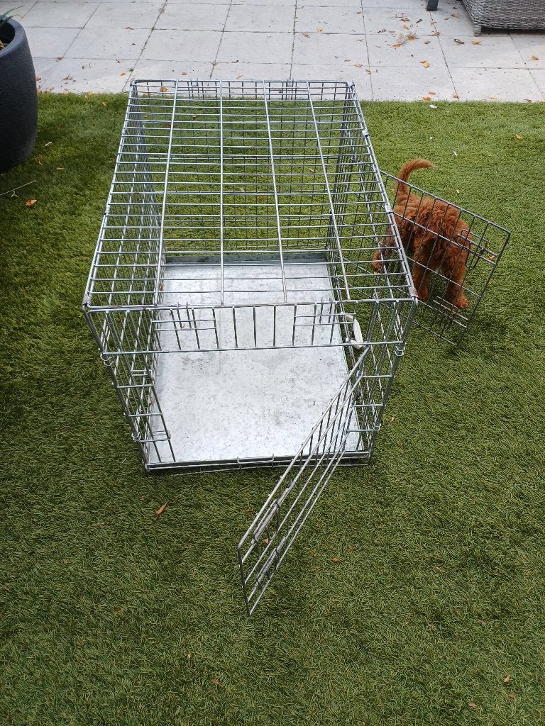 Honden bench, Dieren en Toebehoren, Ophalen, Gebruikt, Minder dan 65 cm, Hondenhok