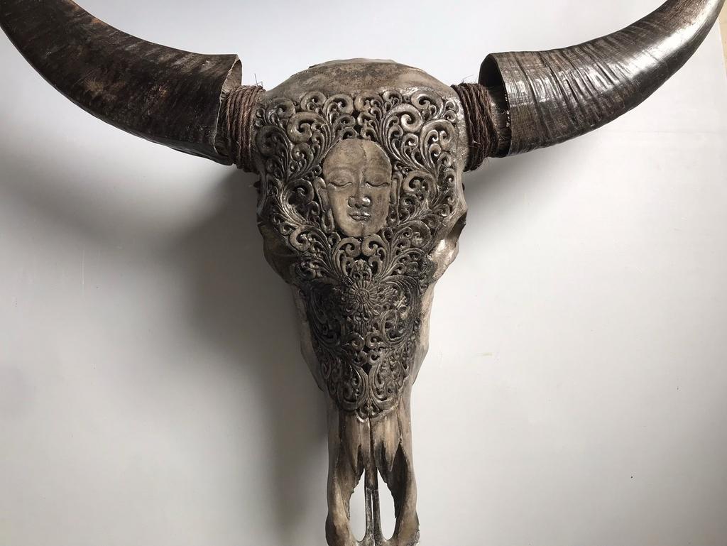 Skul Buffel schedel nieuwprijs 350,=, Western, Gebruikt, Meerkleurig, Decoratieobject