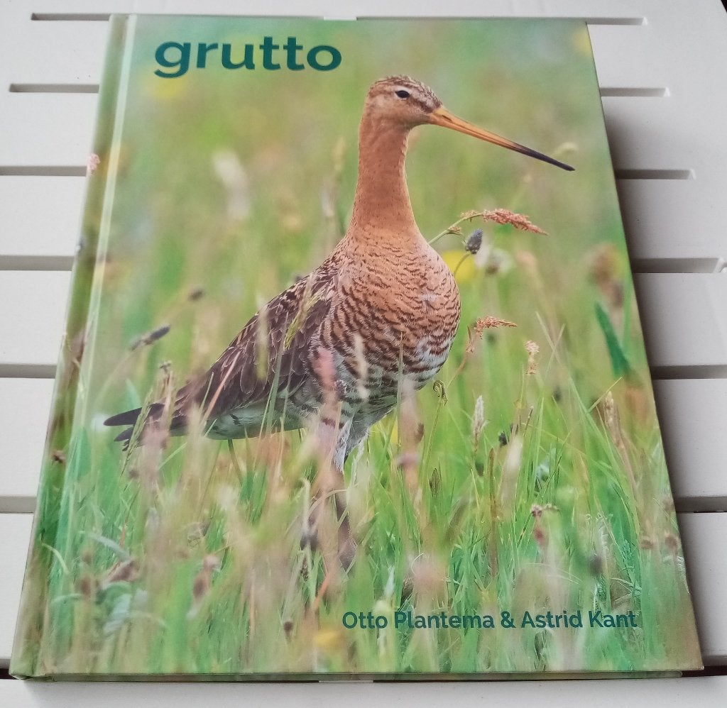 Grutto * Otto Plantema & Astrid Kant, Gelezen, Ophalen of Verzenden, Otto Plantema & Astrid Kant, Vogels