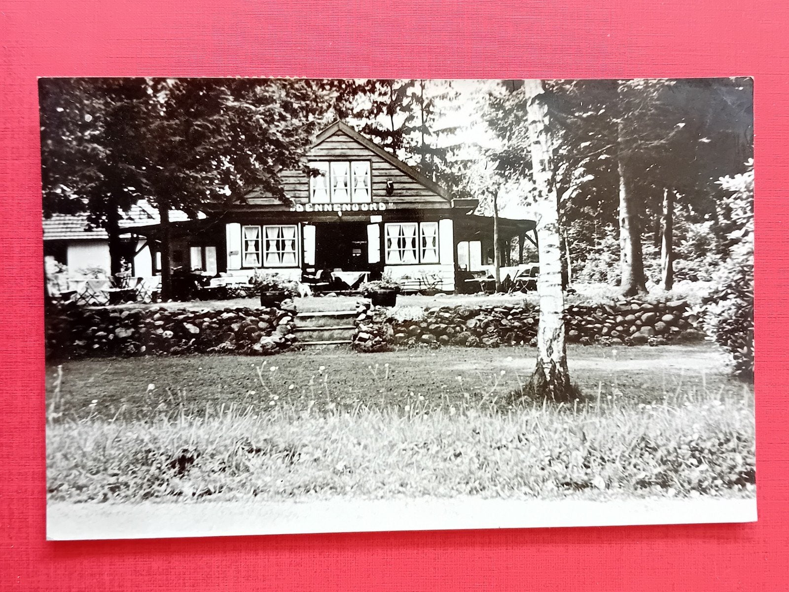 Oude ansichtkaart Theehuis Dennennoord Vasse, Ophalen of Verzenden, 1960 tot 1980, Gelopen, Overijssel