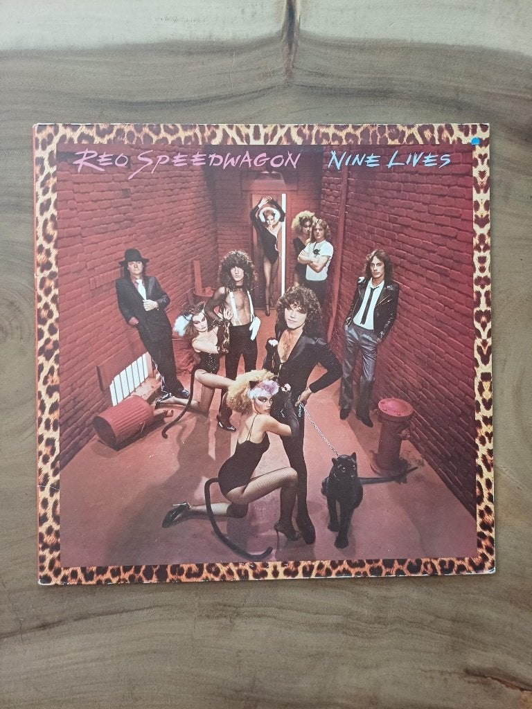 Reo Speedwagon - Nine Lives - Vinyl, Cd's en Dvd's, Ophalen of Verzenden, Gebruikt, 12 inch