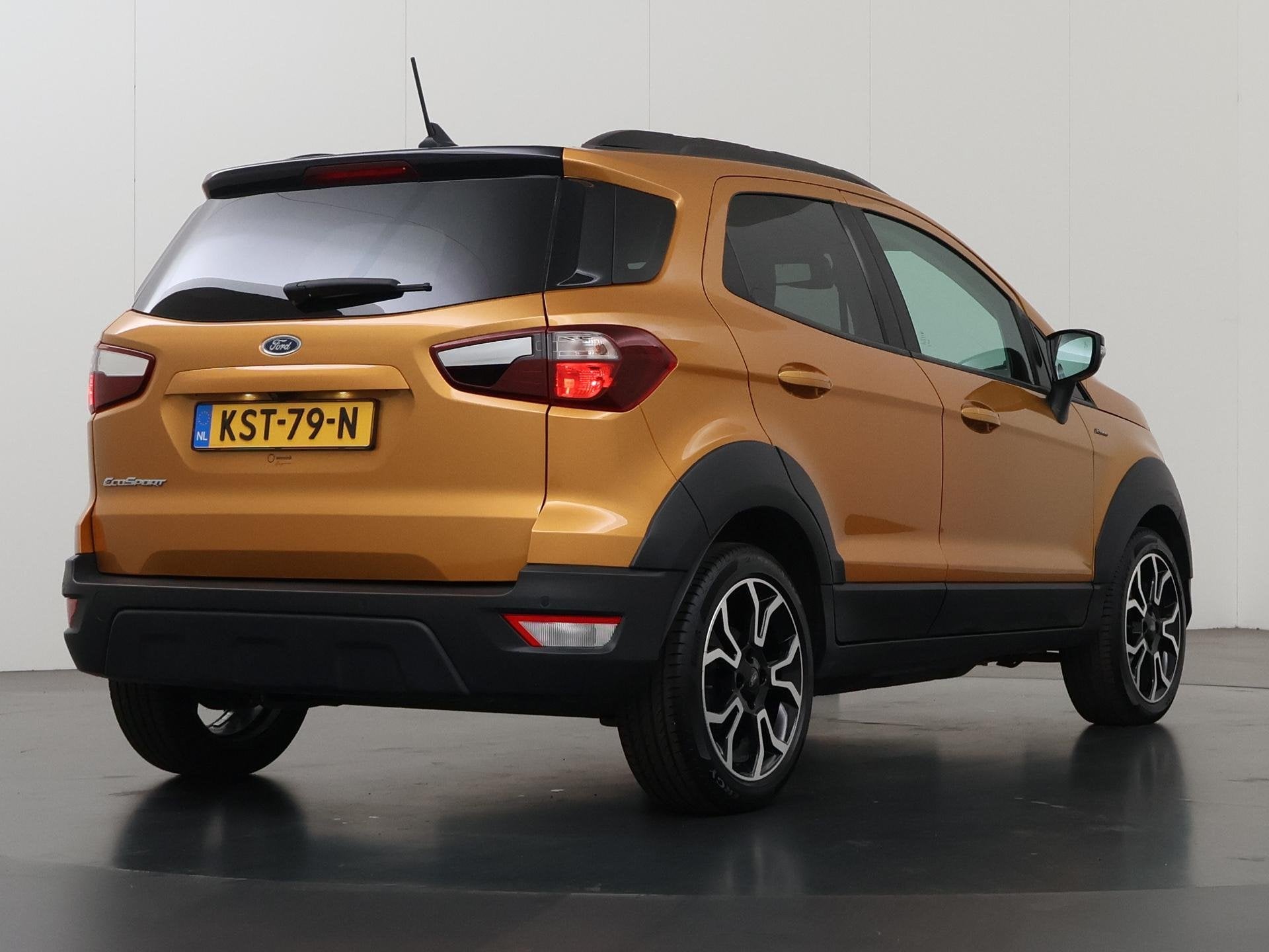 Ford EcoSport 1.0 EcoBoost Active | Camera | Lederen Bekledi, Auto's, Voorwielaandrijving, Gebruikt, Ecosport, Bedrijf