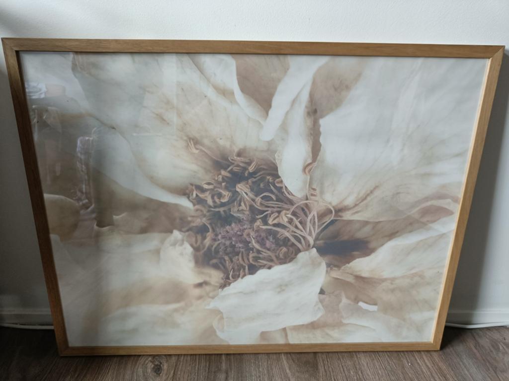 Riviera Maison Wall Art White Flower, Antiek en Kunst, Kunst | Tekeningen en Foto's, Ophalen