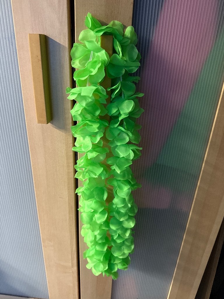 Verkleedkleding, Ophalen of Verzenden, Zo goed als nieuw, Carnaval
